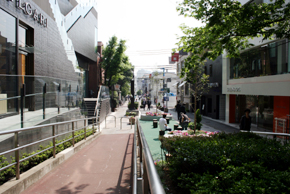 渋谷方向に延びるキャットストリート