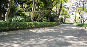 松の大廊下跡。吉良上野介への刀傷事件のあった場所で、江戸城中で2番目に長い廊下だった。 