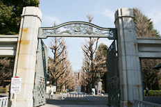 正門。赤門の北側にあり、イチョウ並木と安田講堂を結ぶ
