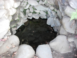 北条氏照の重臣、石川土佐守の娘おねいが眼病を患い、毎日この井戸の清水で眼を洗ったところ、平癒したと伝えられる