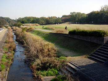公園の中心を流れる野川　はけの湧水が野川を形成し、その先の多摩川へと注ぐ